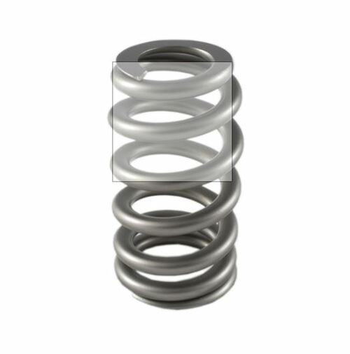 PAC RACING SPRINGS RPM SERIES DROP IN OVATE WIRE BEEHIVE (FORD COYOTE) PAC-1234X-16