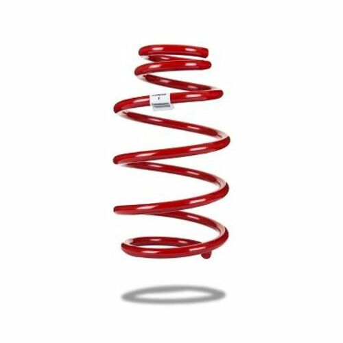 PEDDERS REAR COIL SPRING LOW - ORIGINAL NIVOMAT SHOCK (05-12 CHRYSLER LX) 2941